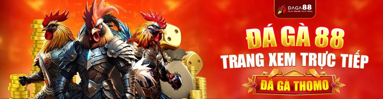 Đá Gà Trực Tuyến Hấp Dẫn tại JJ8