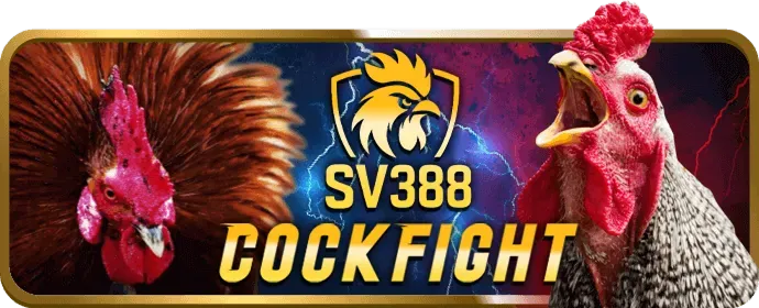 Duy Trì Cấp Độ VIP