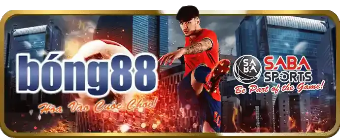 Tích Lũy Điểm Thưởng và Doanh Thu Cá Cược
